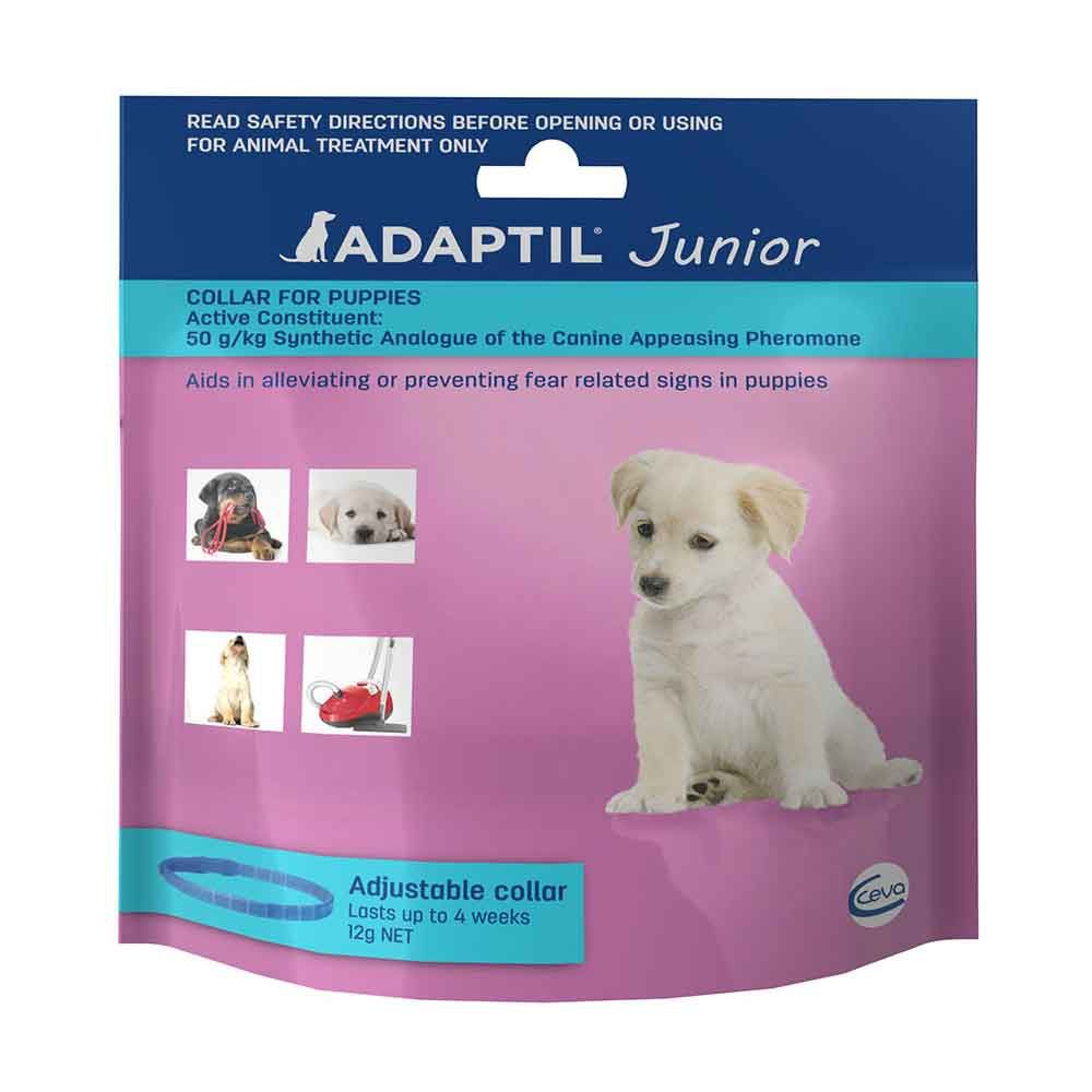 Adaptil Junior Calming Collar Pet Professor